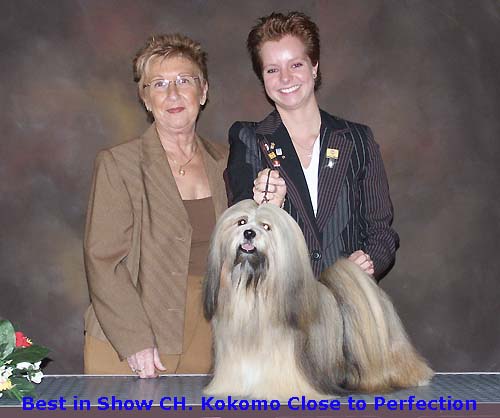 Lhasa Apso kennel EL Minja's,world famous Lhasa Apso kennel represented in all continents