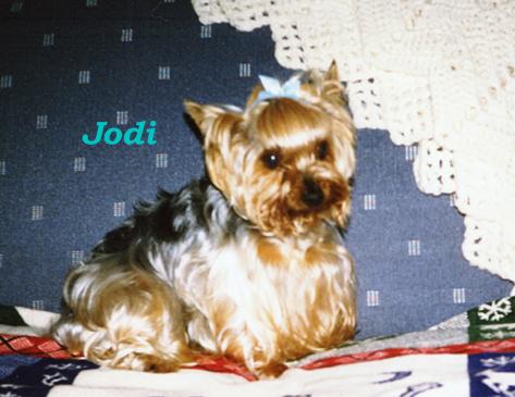 Jodi