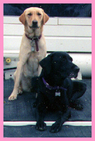 Serena and Princess in truck Pix