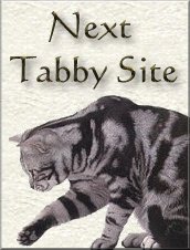 NextTabby Site