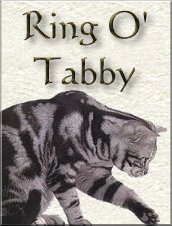 Ring O'Tabby