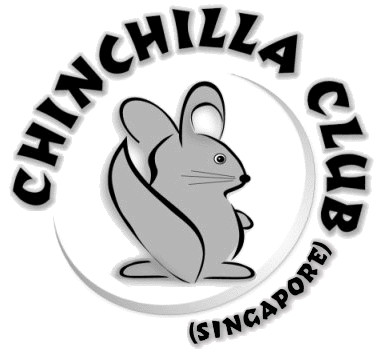 Chinchilla Club (Singapore)