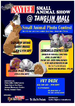 Chinchilla Contest at the coming Small Animal Show