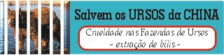 Ajude os Ursos