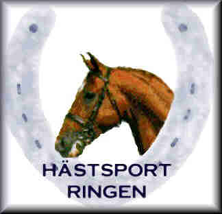 Hstsport Ringen