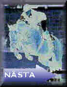 Nsta