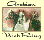 This site is another Oasis in the
Arabian Horse WebRing