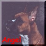 Click on this picture and go to Angel's page.