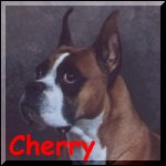 Click on this picture and go to Cherry's page.