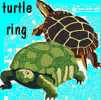 Turtle Ring!