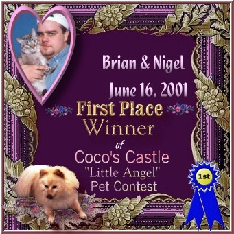 Coco's Castle Little Angel Pet Contest