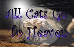 All Cats Go To Heaven