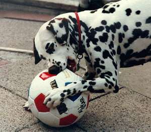 Eloise with her beloved soccer ball