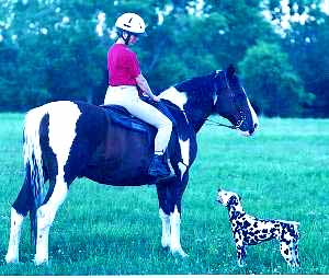 Gracie & Linda, training for the Road Trial