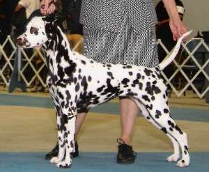 Josie winning her 2nd major