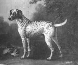 A pointer from the 1700s