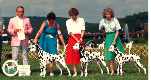 Spencer winning the Stud Dog Class