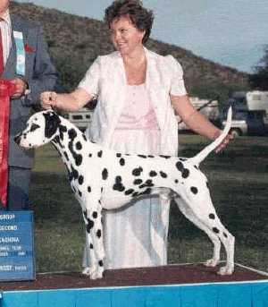 Spencer and owner/handler Mary Widder