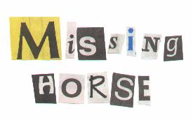 MissingHorse Member