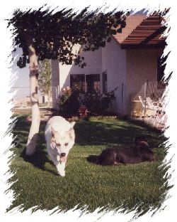 Ethyl and George in backyard