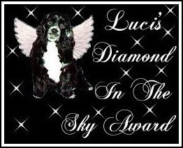 Luci's Diamond In The Sky Award