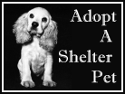 Adopt A Shelter Pet