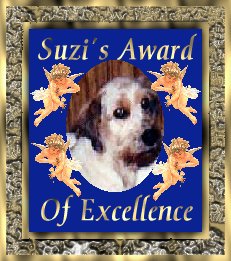 Suzi's Award of Excellence