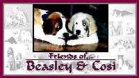 Click to go to Friends of Beasley & Cosi