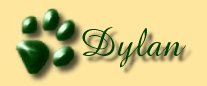 Visit Dylan's Page