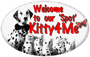 Welcome to Kitty4me!