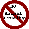 no animal cruelty