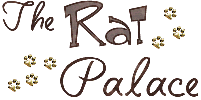 The Rat Palace