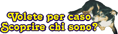 Volete per caso scoprire chi sono?