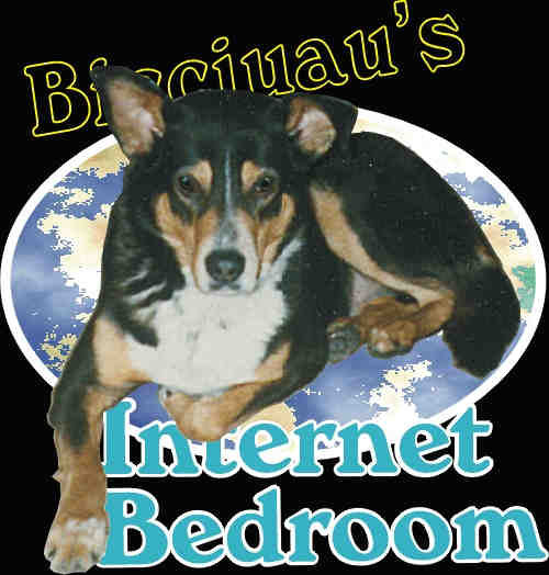 Bicciuau's Internet Bedroom - La Cuccia Internet di Bicciuau