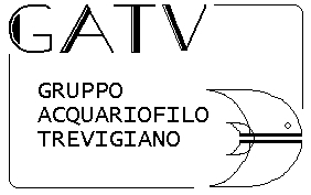 Gatv_logo.JPG (27491 byte)