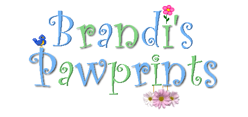 Welcome to Brandi's Pawprints!