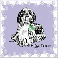 Peke A Tzu Rescue