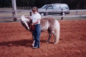 Madison County 4-H Horse Club