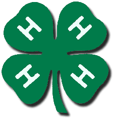 4-H