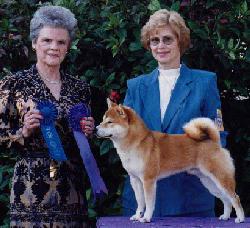 Cutter winning Winners Dog at the 1999 NSCA National Specialty at Plant City, FL 