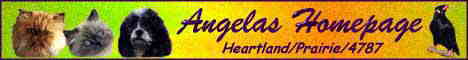 Angela's Homepage