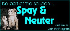 Support Spay & Neuter