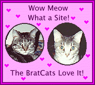 Thank you Maxine and the BratCats!