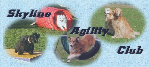 Skyline Agility Club