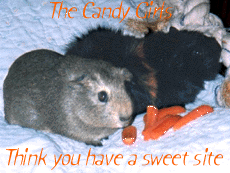 The Candy Girls Think you Have a Sweet Site.  Presented: April 23, 2000