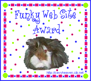 Funky Web Site Award.  Presented: March 21, 2000