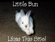 Little Bun Likes This Site!  Presented: November 8, 1999