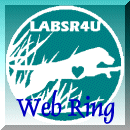 The LABSR4U 
Webring!