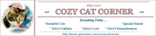 Kitty Lea's Banner