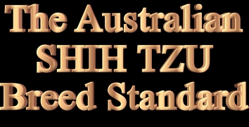 The Australian Shih Tzu Breed Standard